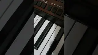 djamaika2ka ritam.