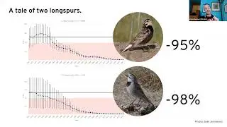 Birder's Night Jan. 22, 2025: The State of Canada's Birds