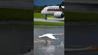 Nature vs Man #travel #aviation #airport #planespotting #aviationlovers #flight