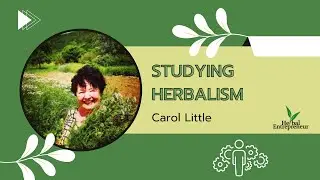 How To Study Herbs And Retain Information with Carol Little [Herbal Skill Share Marathon]