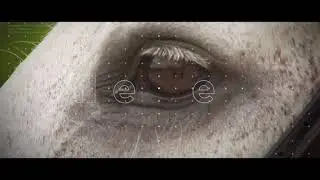 HorseTV