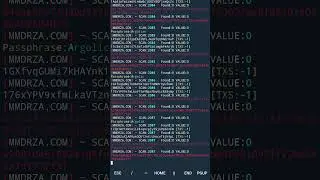 Termux Search priv key Brain Wallet