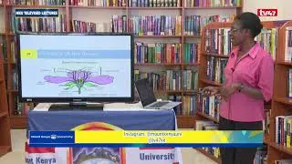 BBY 1214: PLANT STRUCTURE AND FUNCTION LESSON 2