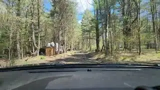 Evergreen Trails