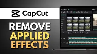 How to Remove Applied Effect on Video in Capcut PC