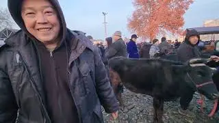 27.12.2025 SAMARQAND PASTDARG'OM JUMA MOL BOZORI ONA BOLA SIGIRLAR 
