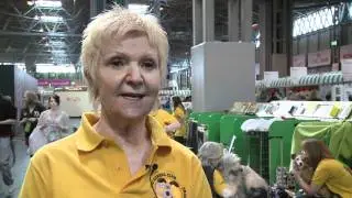 dfs Crufts 2011 - Zippy the amazing deaf dog!