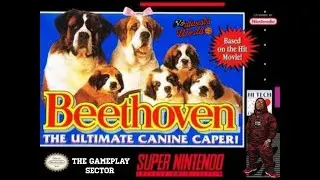 Прохождение игры Beethoven: The Ultimate Canine Caper на SNES с комментариями.