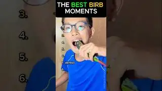 Ranking Best Bird Moments