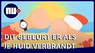 Verbrand na een dagje zon: 'Dit gebeurt er met je huid' | NU.nl