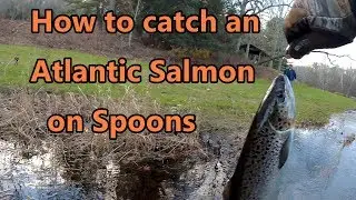 How to catch Atlantic Salmon on Spoons