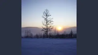 The Path to the DREAM