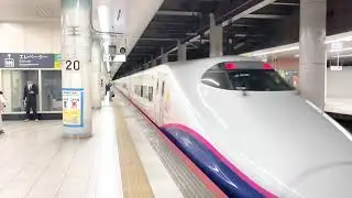 【上野駅☆超激レア】E2系1000番台J69編成ディズニーラッピング+E3系2000番台L65銀つばつばさ通過