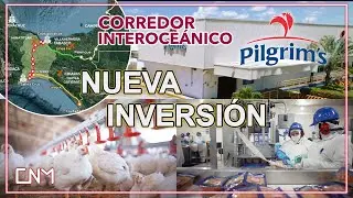 Primera inversión del 2026,  Pilgrim's México anuncia mega inversión en el Corredor Interoceánico