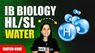 [IB Biology HL/SL] Water (Part 1)