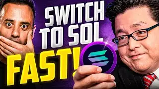 URGENT! Here&rsquo;s Why Tom Lee Is Switching To Solana Now!