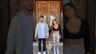 Friends Because Of A Dog