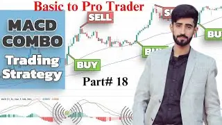MACD and RSI Strategy Win Rate 80% | Basic to Pro Trader | MACD Profit Strategy