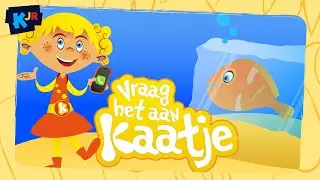 Kunnen vissen bevriezen? | Vraag het aan Kaatje | Reeks 1 | A3