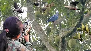 WOW‼️BERBURU BURUNG PUNAI SATU PELURU SATU BURUAN CEWEK MAKIN KETAGIAN
