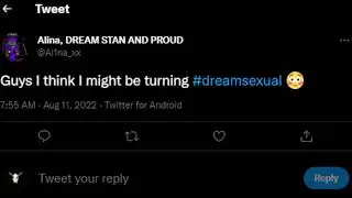 Trolling Dream Stans On Twitter