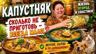 Готовим огромными кастрюлями! Капустняк по-Закарпатски! Василь Васильевич в гостях!