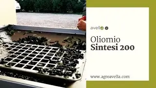 Oliomio Sintesi 200