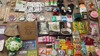 Unpacking checked suitcase - Japan