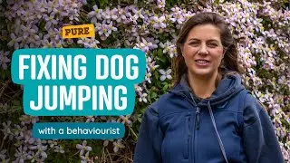 How to teach your dog to stop jumping with a behaviourist