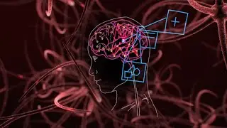 Respuestas de la ciencia. &iquest;Se puede manipular nuestra memoria?