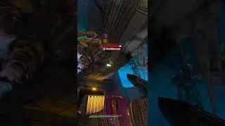 Poor guy #shorts #borderlands3 #borderlands #armsrace #FPS #NoelPNG