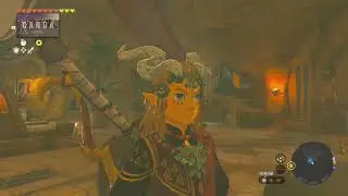 Tears of the Kingdom: Legend of Zelda - Moth To a Desert Flame