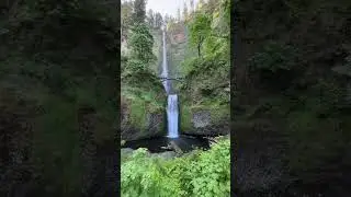 🥾 Arguably the most beautiful area in the country, the Pacific Northwest is home to some of the