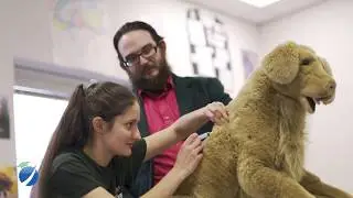 About the Nonnewaug High School Ellis Clark Regional Agriscience and Technology Program