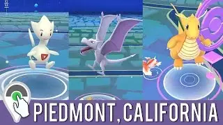 AMAZING NIGHT ADVENTURE! Wild Togetic! Wild Aerodactyl! Wild Dragonite! Wild Snorlax!