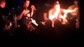 Crack Rock Steady 7 - 