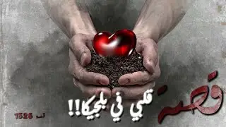 1526 - قصة قلبي في بلجيكا!!