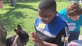 Annual &ldquo;Beeping&rdquo; Easter Egg Hunt Fun For Children With Disabilities