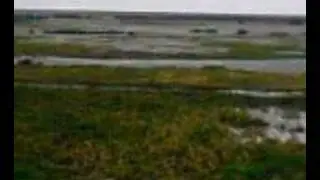 northam burrows