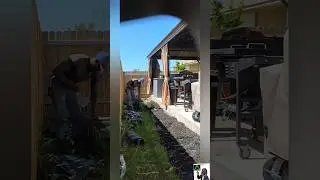 Как подготовить газон к посадке в саду