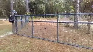 Dunnellon, FL Apollo 1500 Gate Opener - 352 Gates, llc