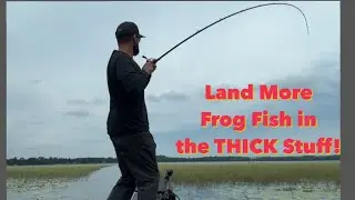 Land More Frog Fish with this Set Up Tip