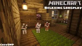 Trying to find every Wolf Variant on CozySMP | Relaxing Minecraft Longplay (No Commentary)