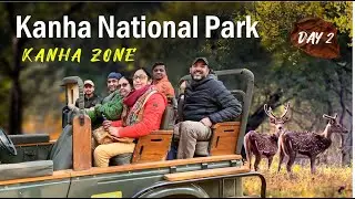 Kanha National Park Tour - Kanha Zone Tiger Safari - Day 2 -  Kanha Tour Guide 2024 - Morning Safari