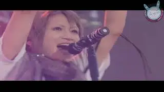 アンティック-珈琲店-AN CAFE Evolution: The first and the last
