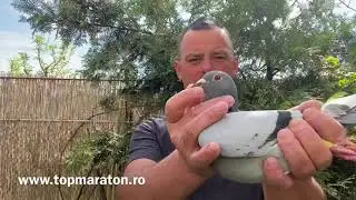 Pui din cuplu de 5 ⭐ la AS Maraton