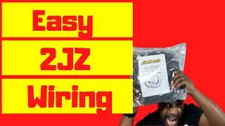 Haltech 2JZ Engine Harness - Easily Wire A 2JZ Engine😍