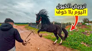 يوم جديد 🆕 أجواء الطبيعة الساحرة🤩حين تنطلق الخيل… يبدأ الإحساس الحقيقي🐎