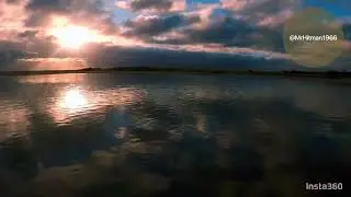 Reflections in a puddle