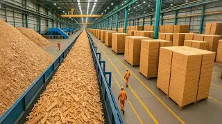From Wood Scraps to Millions of Particle Boards | Mass Production Process